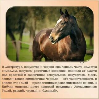 Кто написал про коня