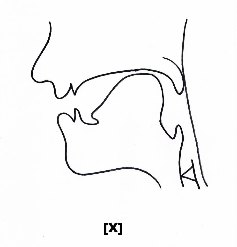 Артикуляционный уклад звука х. Правильная артикуляция звука х. Профиль артикуляции звука гь. Артикуляция звука г для детей. Артикуляция г