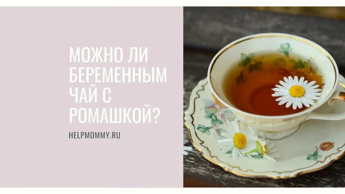 Как часто пить ромашковый чай. Чай &quot;ромашка&quot;. ромашка чай для беременных. ромашка при беременности 1. ромашковый чай при беременности.