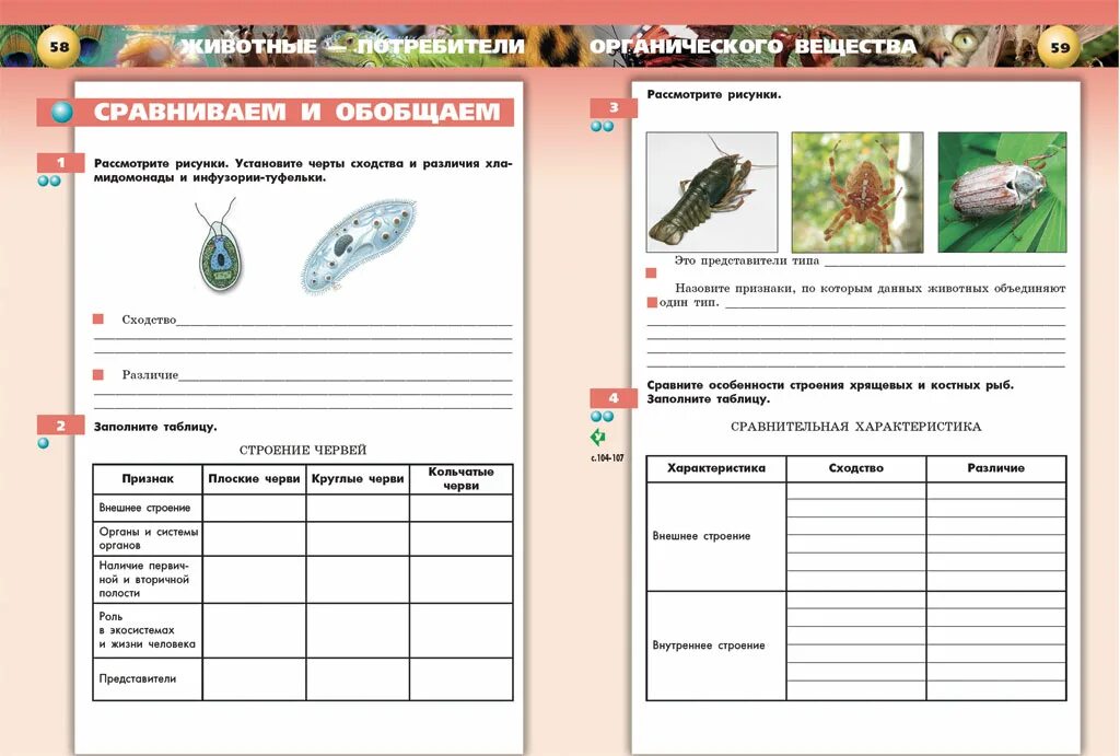 Многообразие живых организмов 5 класс биология тест. Многообразие живых организмов 5 класс биология тест. Биология 5 класс тесты. Контрольный тест харламова. Контрольные тесты по биологии 5 класс.