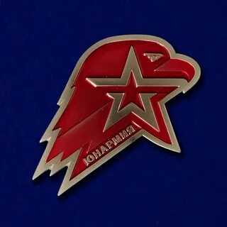 Юнармейская книжка