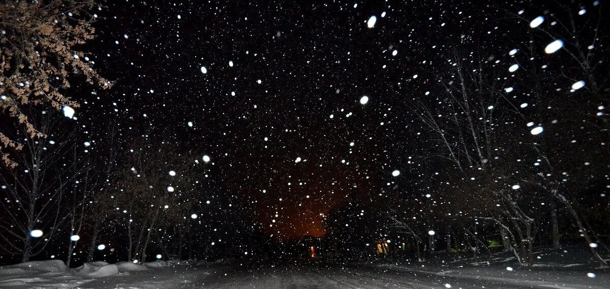 снегопад ночью и днем. снег летает. снегопад ночью в городе. красивый снегопад. снегопад ночью и днем.