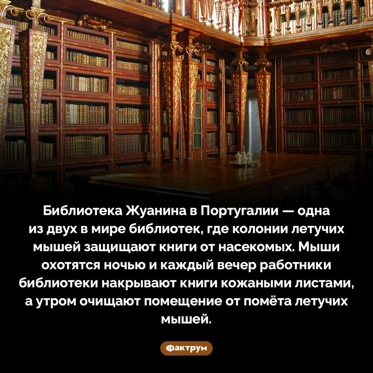интересные факты о шкафах