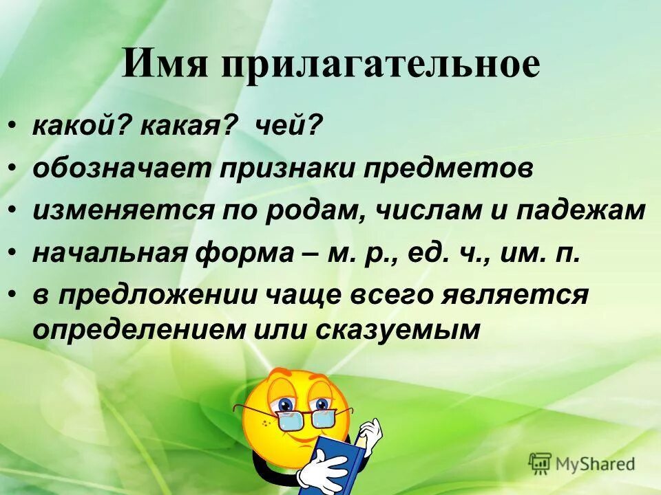 Имя прилагательное. Имя прилагательное презентация. Что такое прилагательное?. Имена прилагательных. Какую роль выполняют имена прилагательные в предложении