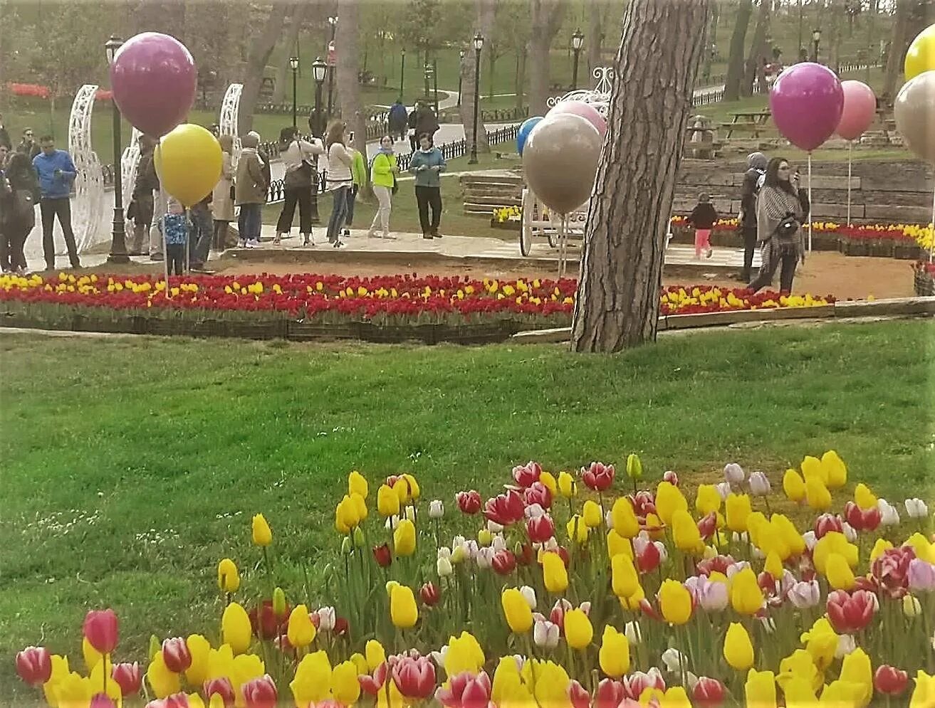 Праздники в стамбуле 2024. Парк Эмирган в Стамбуле фестиваль тюльпанов. Фестиваль тюльпанов в Стамбуле 2023. Стамбул фестиваль тюльпанов Султанахмет. Фестиваль тюльпанов в Стамбуле 2024.