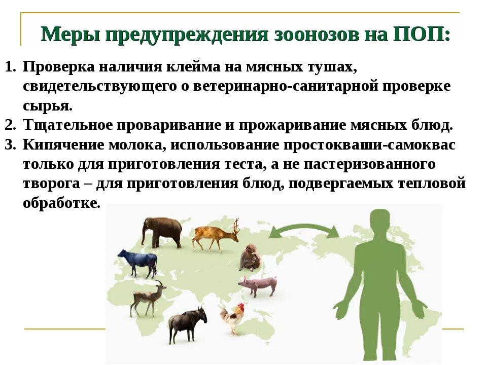 Массовая болезнь животных на определенной территории называется. Меры профилактики зоонозных инфекций. профилактика зоонозных инфекций профилактика. профилактика зоонозных заболеваний животных. меры по предупреждению зоонозных заболеваний.