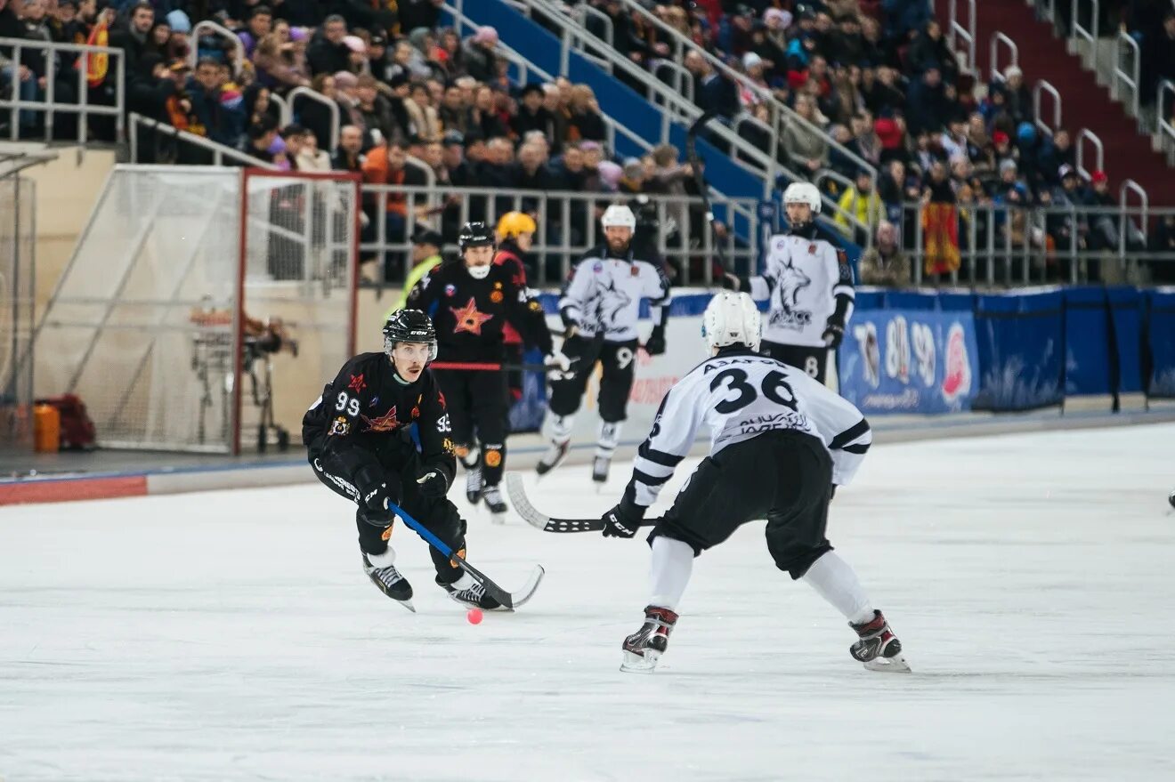 хоккей с мячом.