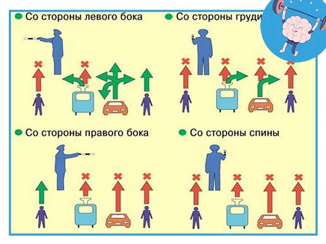 Жесты регулировщика в картинках с пояснениями