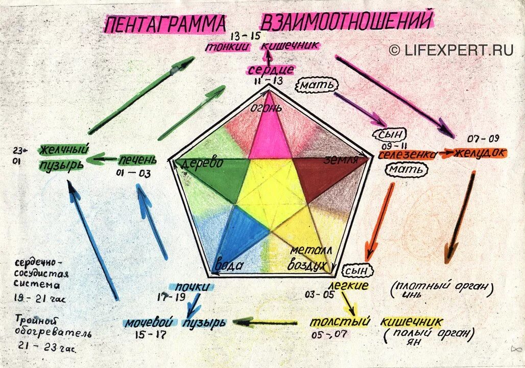 5 элементов человека. Система Усин 5 стихий. Система у син 5 элементов. Китайская пентаграмма пяти стихий Усин. Теория у син пяти элементов.