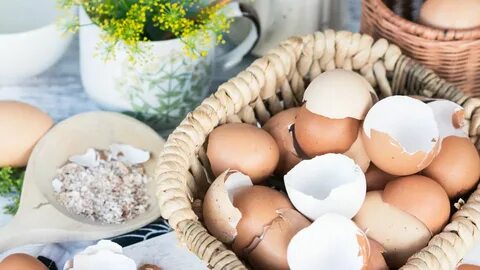 Vaječná skořápka dělá zázraky na zahradě! 5 geniálních způsobů, jak proměnit vaši zahrádku v rajský koutek.
