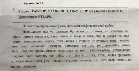 Вставьте пропущенные буквы обозначьте ударение