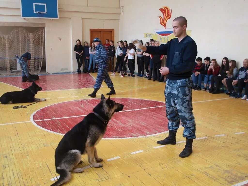 Иркутск колледж кинолог колледж. Колледж кинологии Скрябина.