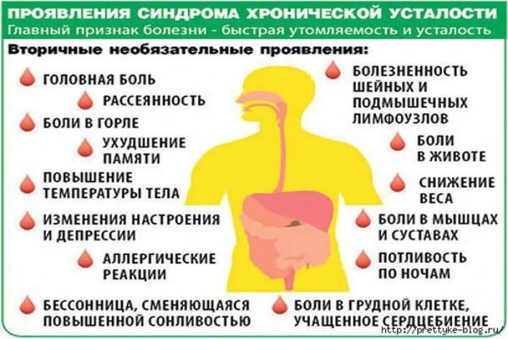 Синдром утомляемости. Лекарство от хронической усталости и переутомления. препараты от синдрома хронической усталости. таблетки при хронической усталости. фитотерапия при синдроме хронической усталости.