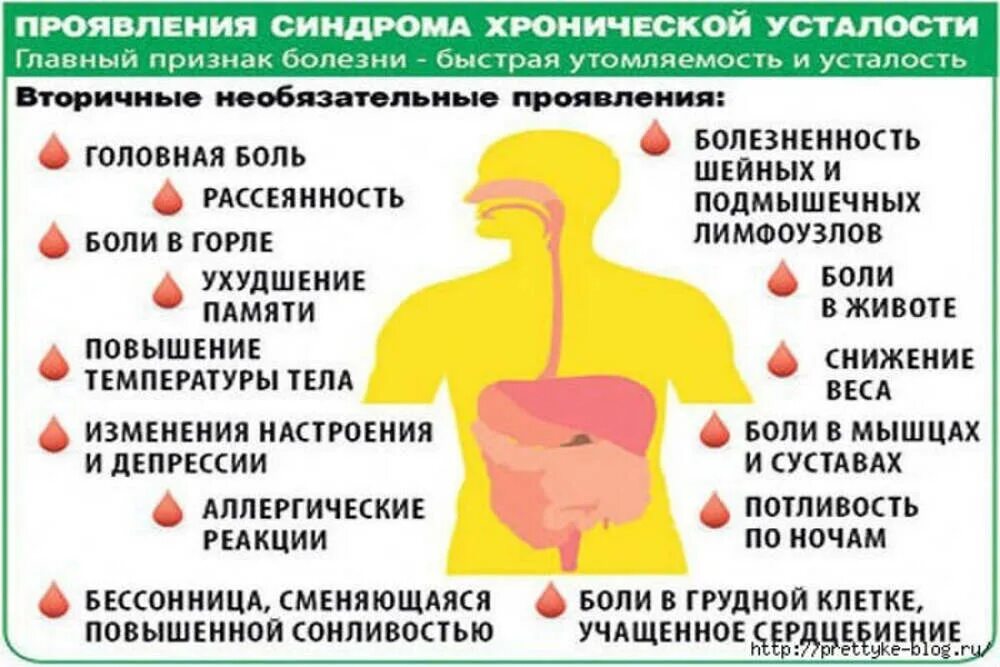 Лекарство от хронической усталости и переутомления. Препараты от синдрома хронической усталости. Таблетки при хронической усталости. Фитотерапия при синдроме хронической усталости. Усталость и сонливость какие витамины пить