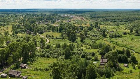 Родное 4