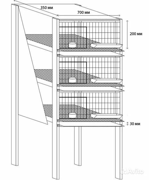 Клетка для перепелов чертежи фото. Чертеж трехъярусной клетки для перепелов. Клетка для перепелов Размеры чертеж. Клетка для перепелов чертеж. Клетка для перепелов своими руками схема и чертежи.