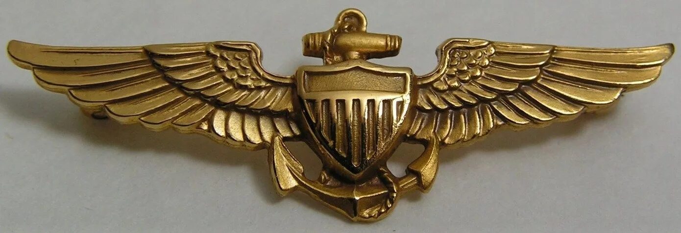 Знак пилот эквадор фото