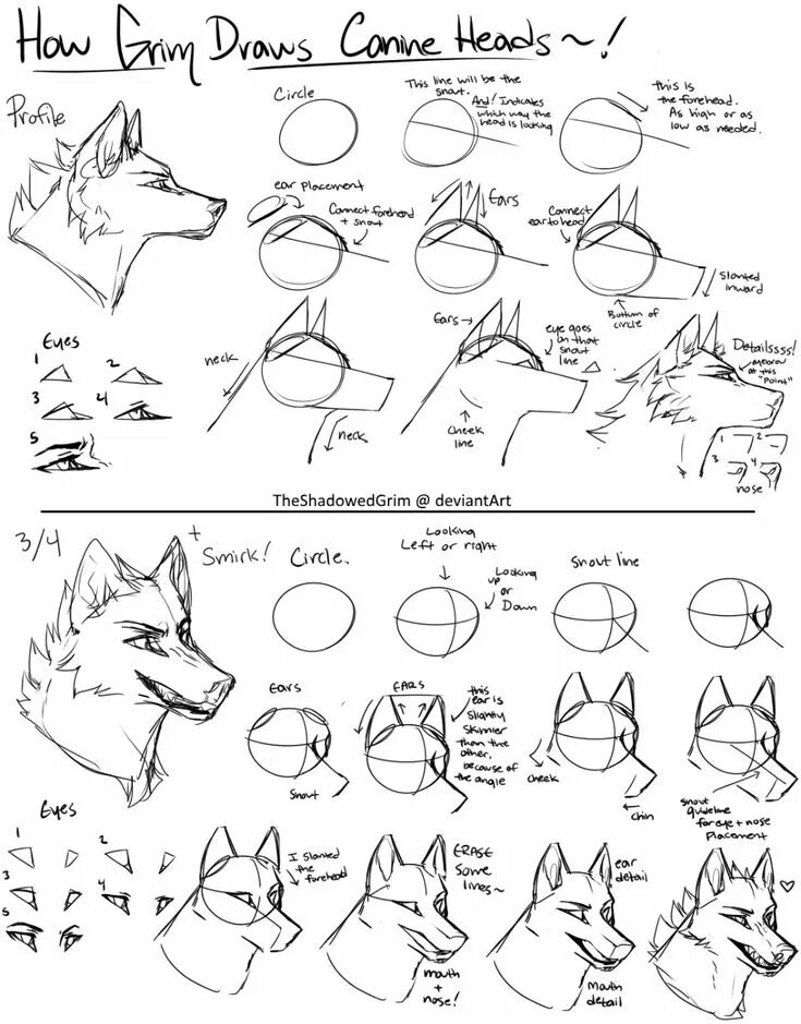 How to wolf