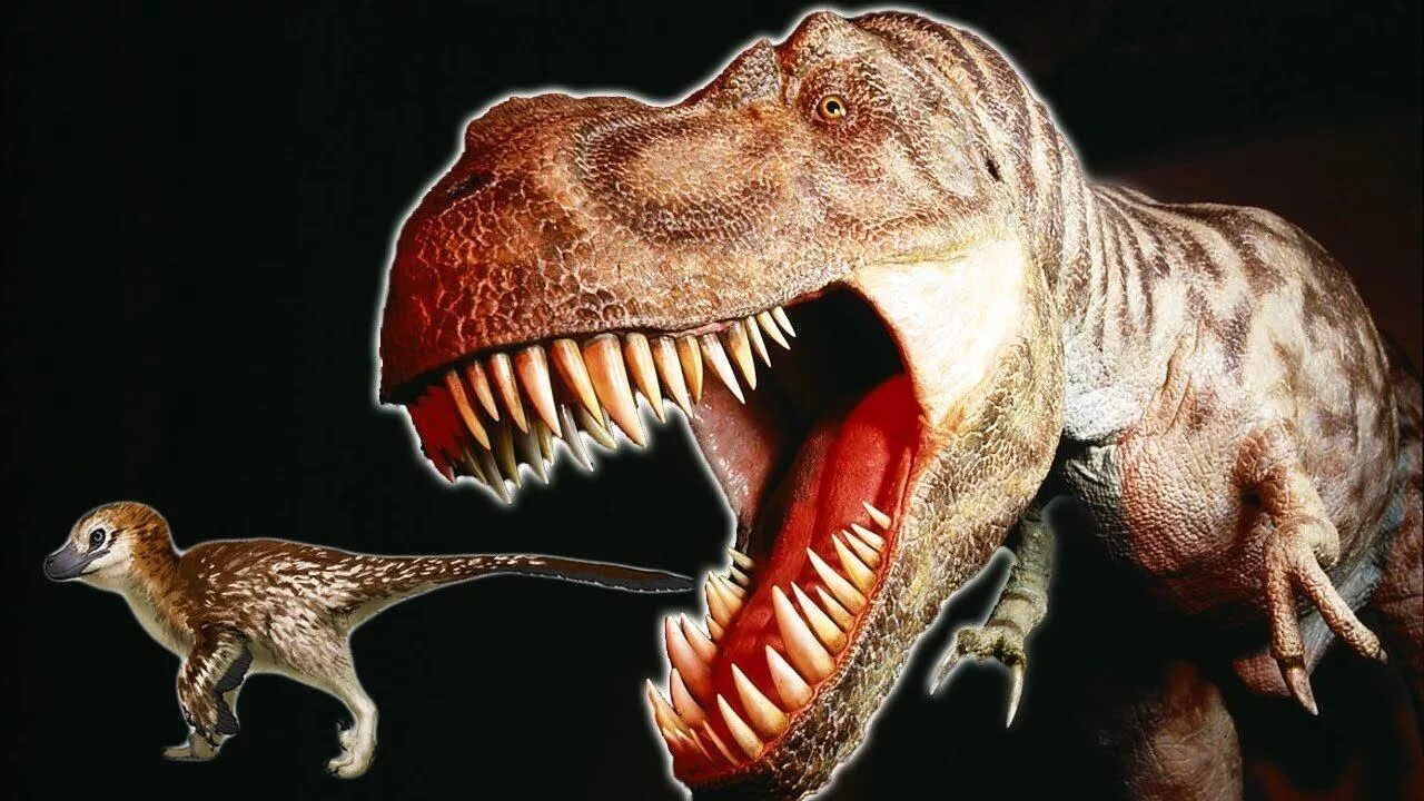 динозавры хищники тиранозавр. танура динозавр хищник. зубастый динозавр. тираннозавр рекс мир юрского периода 2. динозавры хищники.