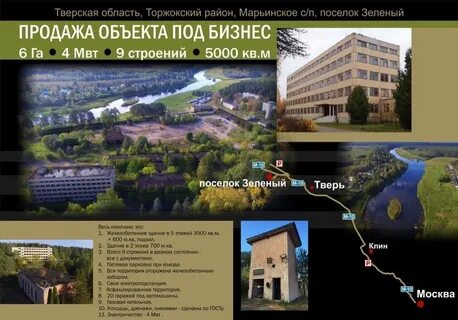 Зеленый тверская область