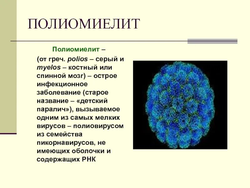 Полиомиелит это простыми словами. Строение вириона полиомиелита. Вирус полиомиелита возбудитель. Возбудитель вирус полиомиелита строение. Возбудитель полиомиелита строение.