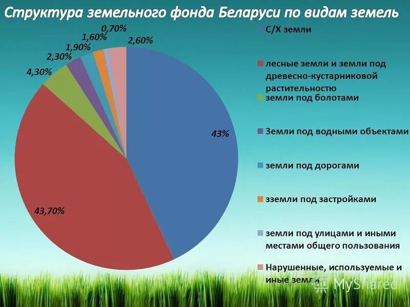 Структура беларуси