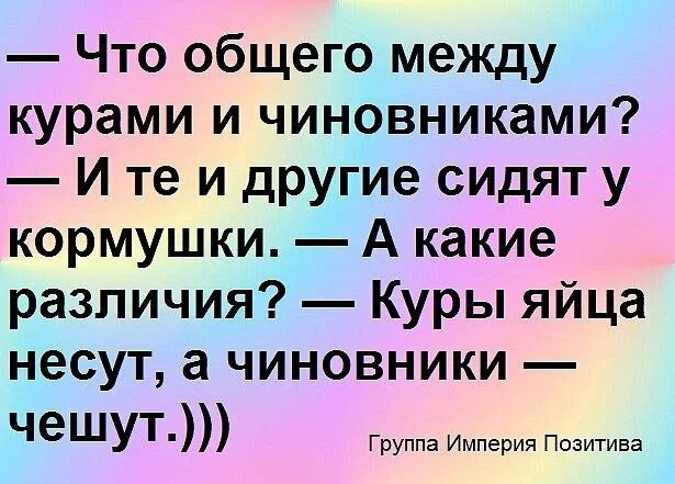 Что общего между женщиной. Что общего между приколы. Что общего анекдоты. Анекдоты что общего между. Шутки чего общего.