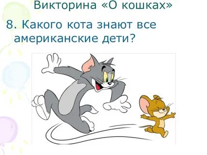 Вопрос коте