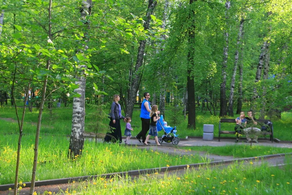 Дирекция городских парков. Парк для прогулок Новосибирск. Новосибирск благоустройство парков и скверов. Парк и скверы в Новосибирске презентация. Дирекция парков Новосибирск.