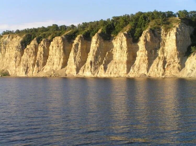 Камышин места. Природный парк щербаковский балка. камышинский район щербаковский парк. щербаковский природный парк камышин. щербаковская балка столбичи.
