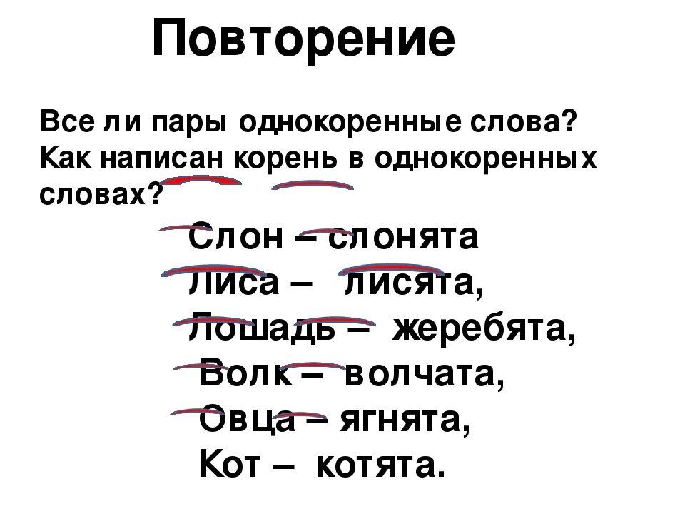 Найти слова с 3 корнями. Однокоренные слова. Корень слова однокоренные слова. Корень однокоренные слова. Написание корня в однокоренных словах.