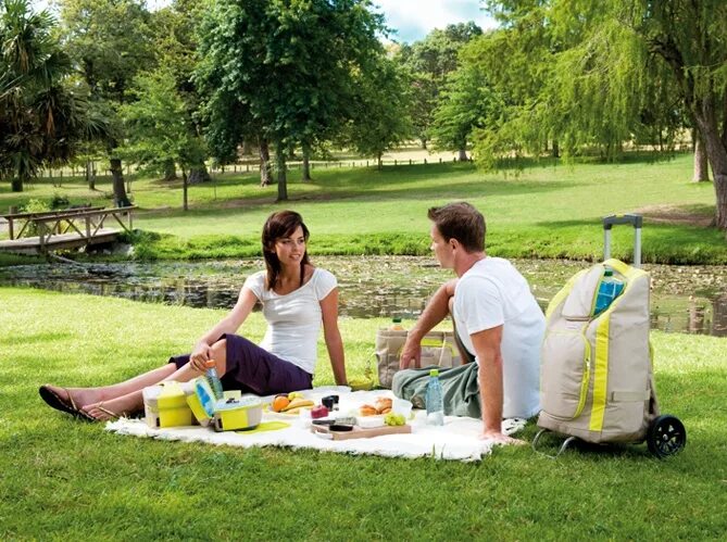 Едим на свежем воздухе. Пикник в парке. Пикник на лужайке. Пикники в парках. Пикник на газоне.