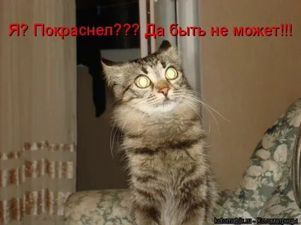 Теперь ваша квартира будет и нашей покраснела