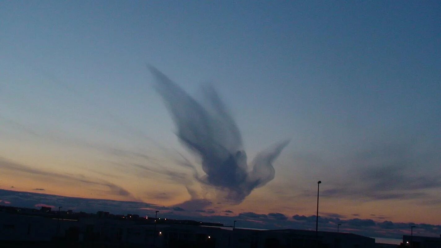 Какая погода сегодня в небе. Необычные облака. Облако в форме птицы. Ангел в небе. Облака причудливой формы.