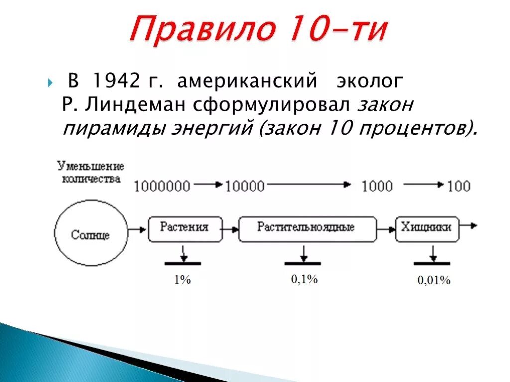 Правило 10 Линдемана. Закон 10 процентов Линдемана. Правило 10 процентов экология. Правило 10 в экологии. Правило 10 почему