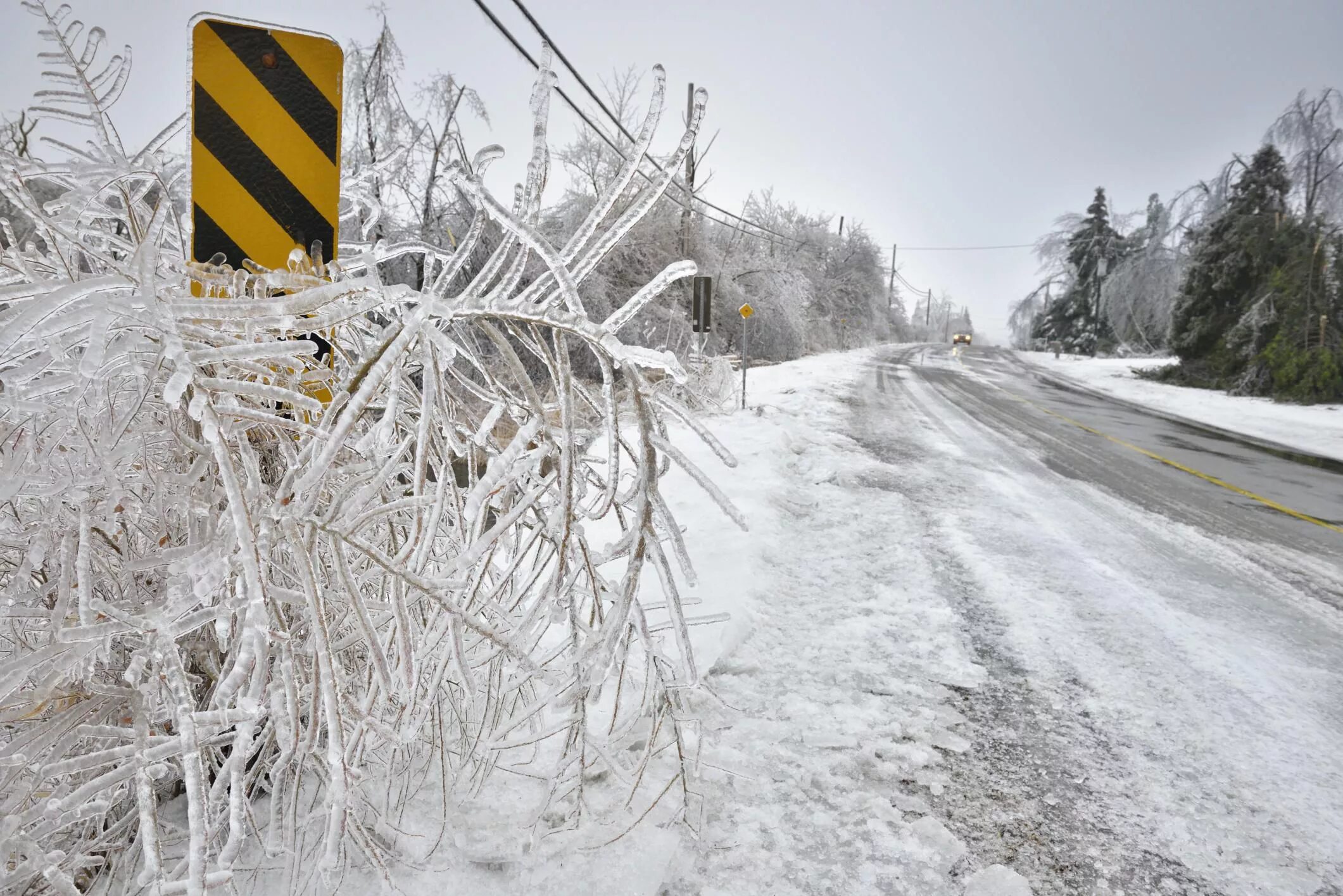 Ледяной шторм 2024. Ice Storm 1998. Ледяной дождь в Канаде в 1998 году. Ледяной шторм. Ледяной дождь в Америке.