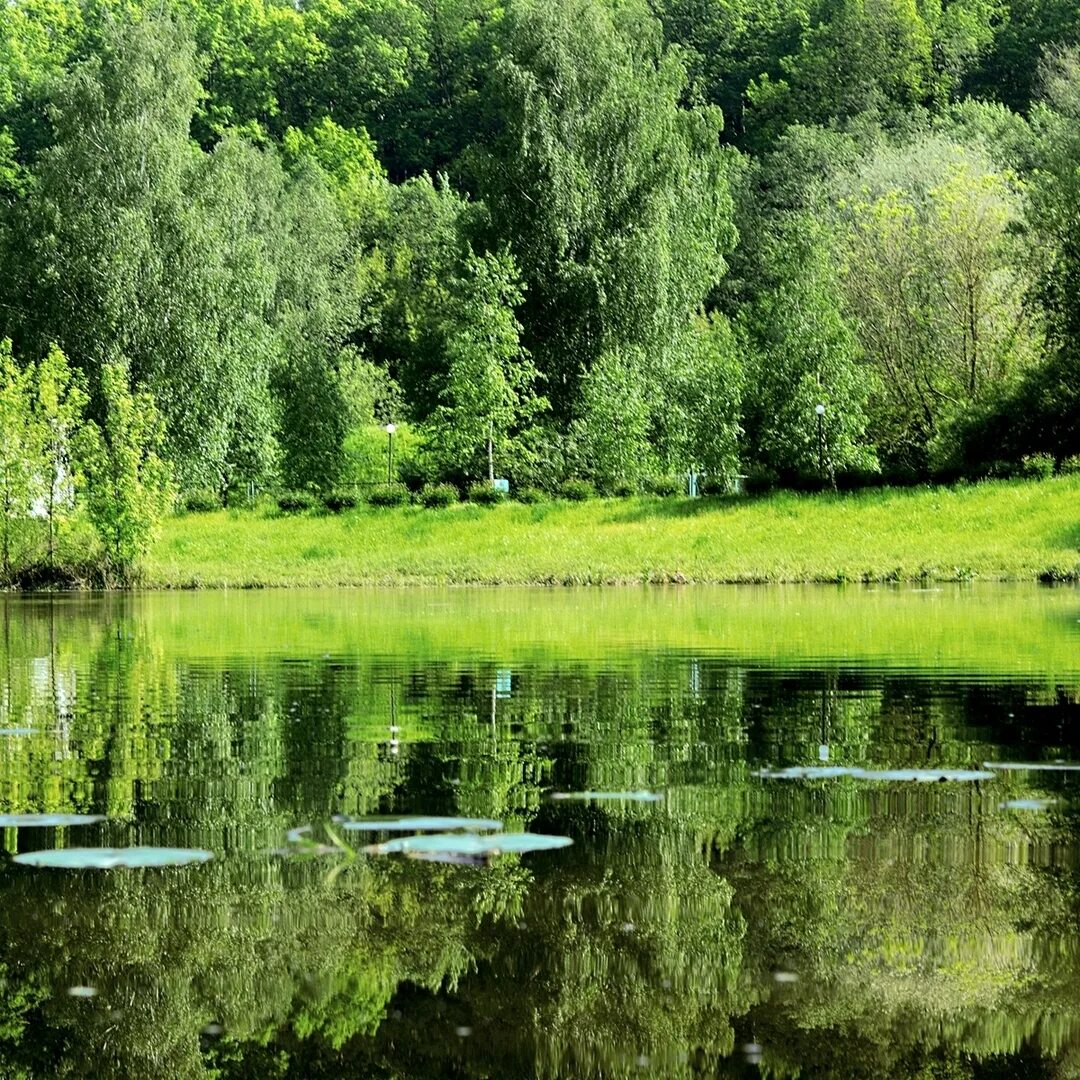 отель планерное лебяжий остров. лебяжий остров планерное. ок планерное лебяжий остров. лебяжий остров планерное.
