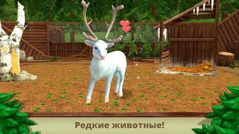 Pet world