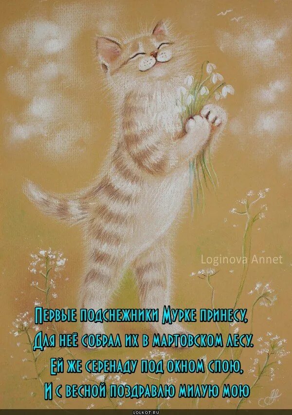 Утро с котами с надписями. Открытки с котами. Стихи про котов и весну. Стихотворение про весну и котов. Открытки с котами прикольные.