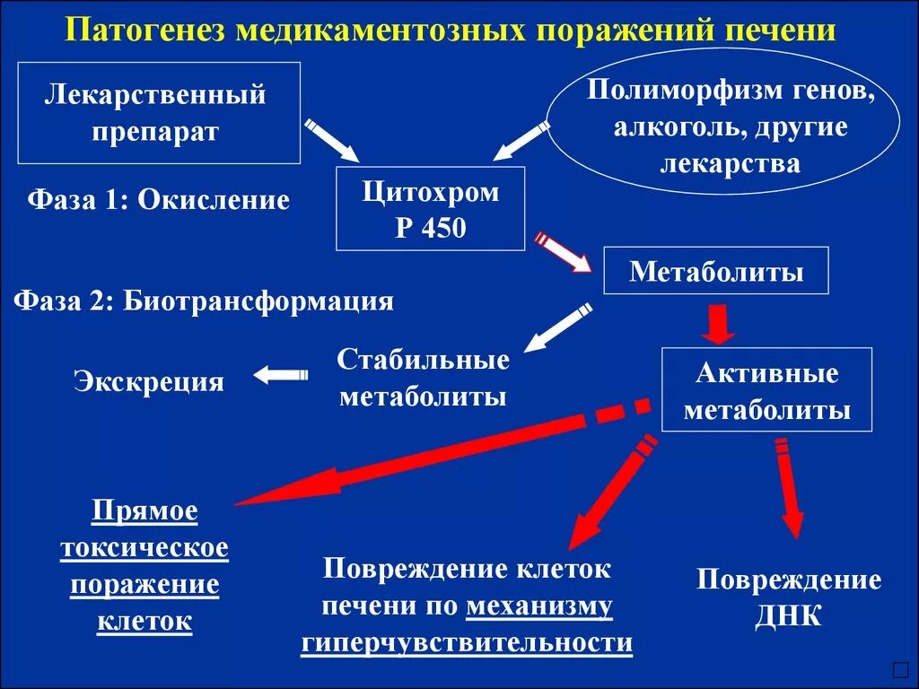 Повреждение клеток печени. Лекарственное поражение печени этиология. Медикаментозное поражение печени механизм повреждения. Схема патогенеза лекарственного гепатита. Патогенез токсического гепатита.