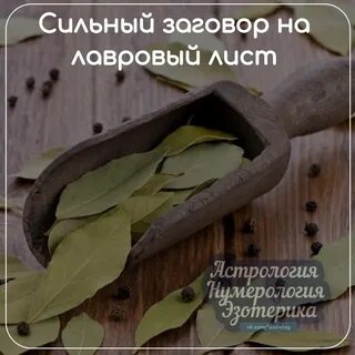 Заговор лаврового листа на деньги в кошелек