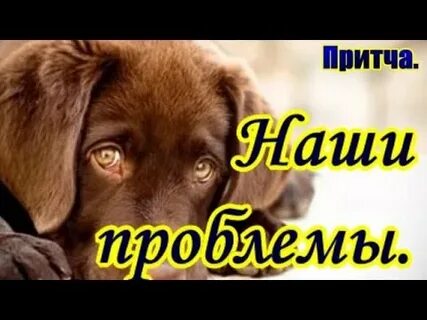 Притча проблема