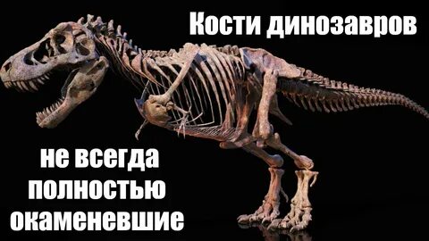 Покажи кости