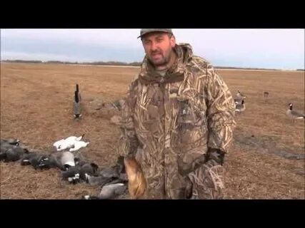 Охота на гуся осенью видео