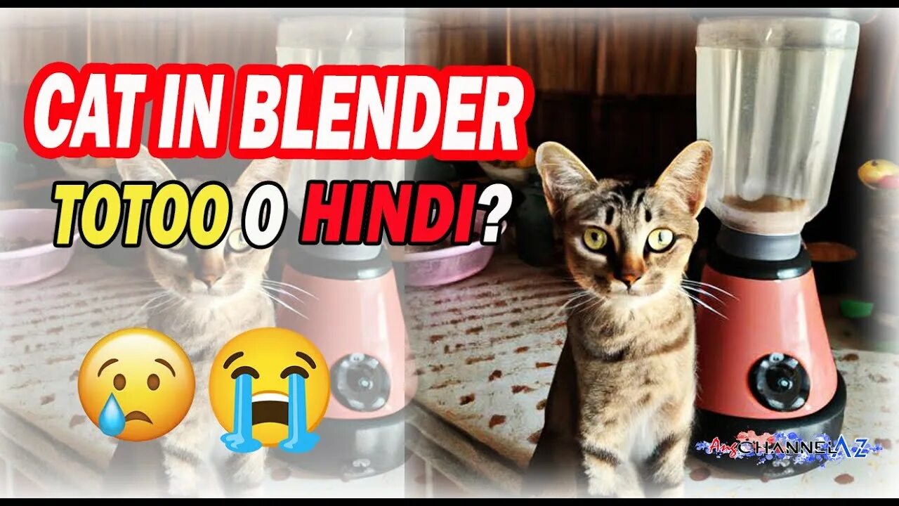 Cat in the blender. Кошка в блендере. Кот в блендере оригинал. Cat in Blender видео. Cat in Blender без.