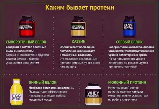 Что если есть протеин и не заниматься. Виды протеинов. Виды сывороточного протеина. Протеин для набора мышечной массы. Белковые добавки спортивные.