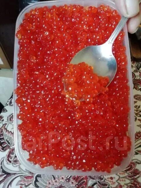 икра кеты 1кг