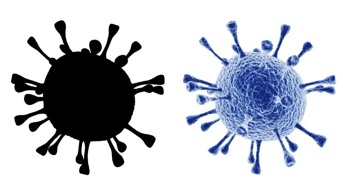 Вирус ковид. Вирус н аюелом фоне. Вирус на белом фоне. Вирус черно белый. Ковид это вирус