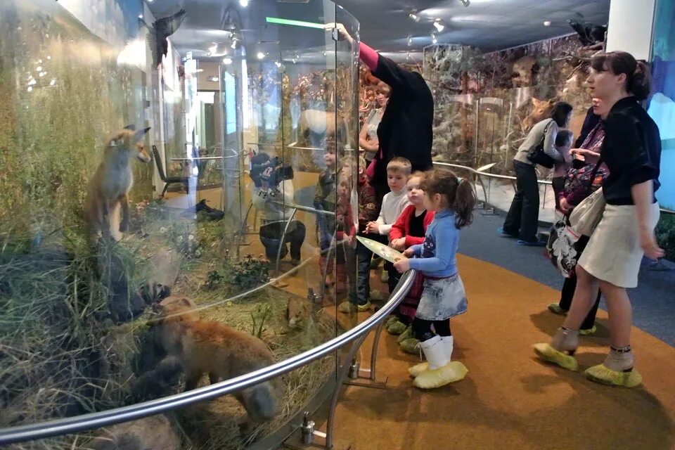 Экспозиция владимиро-суздальского музея-заповедника. Владимирский музей пряника. Палаты владимир экспозиции. Г владимир музейный центр палаты. Исторический музей владимир.