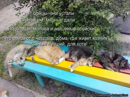 Гулять целыми днями